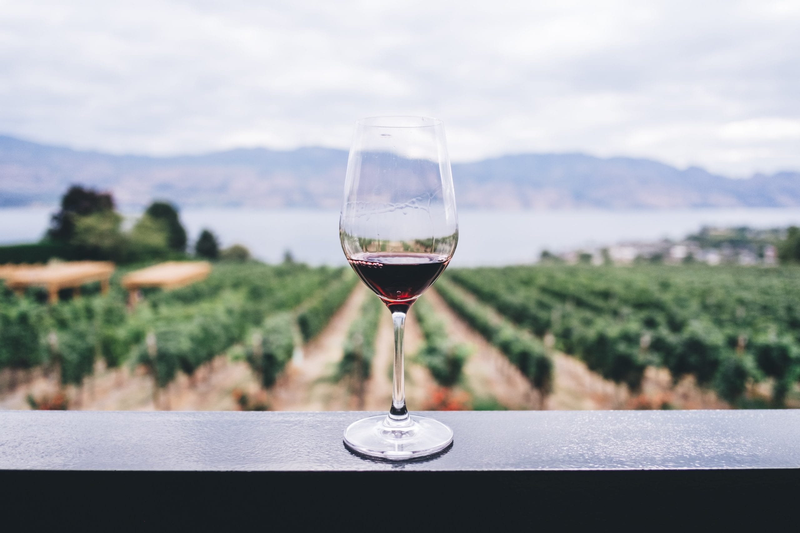 Vin Rouge Moins De 2g De Sucre Saq Top 15 de nos vins à moins de 2 grammes de sucre! | Sélections Oeno
