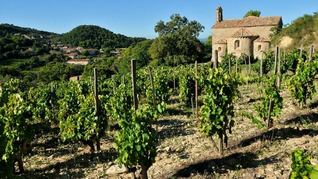 Château de Saint-Cosme Côtes du Rhône