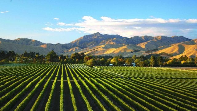 Domaine de Beaurenard Châteauneuf-du-Pape Le Boisrenard 2023