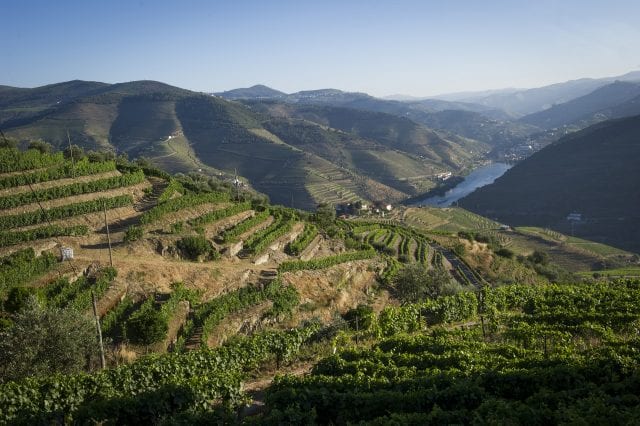 Lua Cheia Maria Bonita Loureiro Vinho Verde