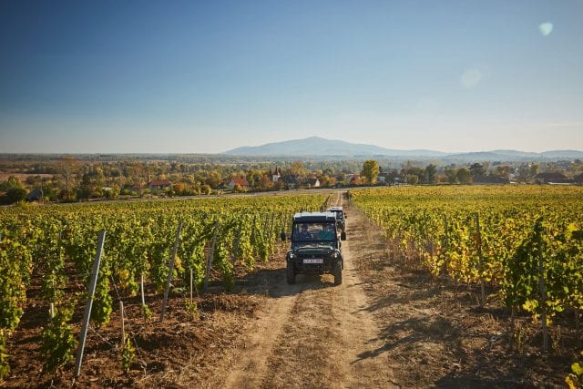 Champagne Gardet Brut Premier Cru