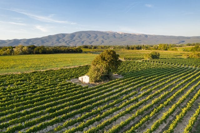 Château Pesquié Ventoux Terrasses 2019