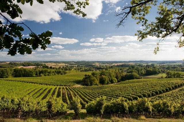 Carrelot des Amants Rosé 2020