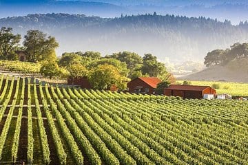 Massaya Le Colombier Vallée de la Bekaa 2018