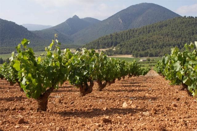 Laguna de la Nava Tempranillo Rosado 2020