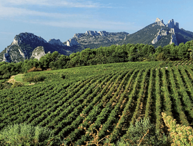 Château Saint Cosme Les Deux Albion Côtes du Rhône 2021