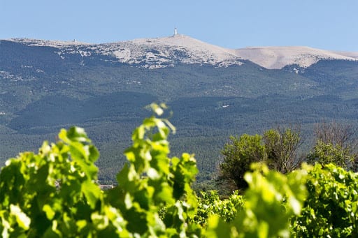 Château Pesquié Ventoux Édition 1912M