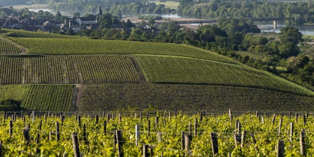 Domaine des Fines Caillottes Pouilly-Fumé