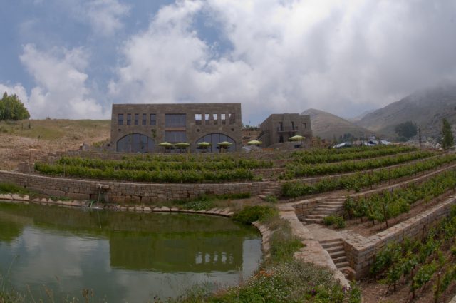 Massaya Terrasses de Baalbeck Vallée de Bekaa 2019