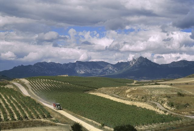 Bodegas Valdemar Conde Valdemar 2021