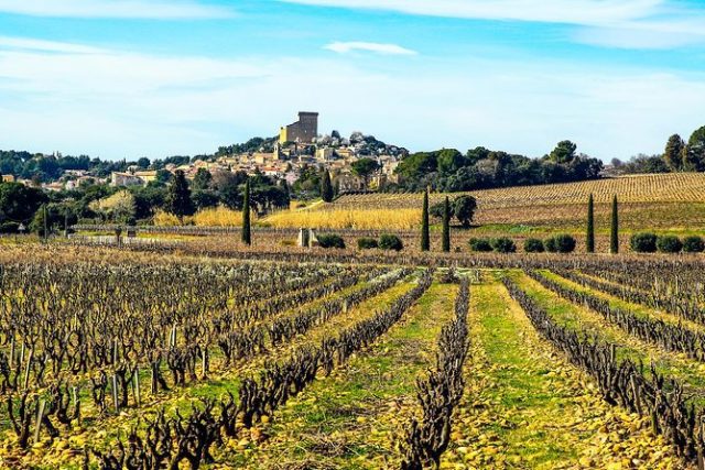 Domaine Du Vieux Télégraphe La Crau Châteauneuf-du-Pape 2020