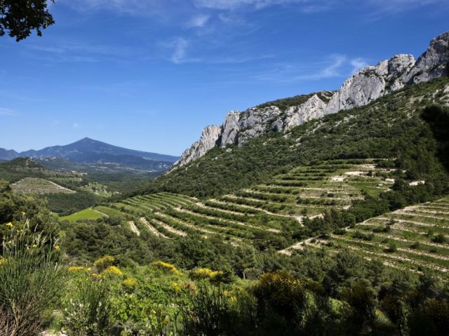 Les Pallières Gigondas Racines 2019